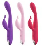 Vibrator with Clitoris Stimulator